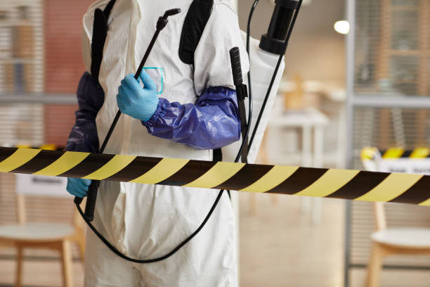 Professional Sewage Cleanup technician working in Redmond, UT